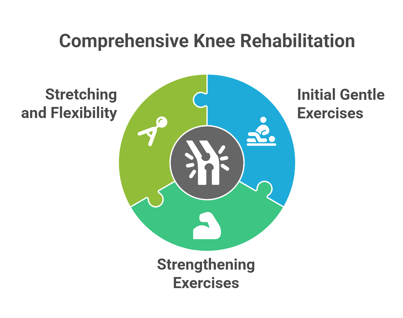 Physical Therapy and Rehabilitation