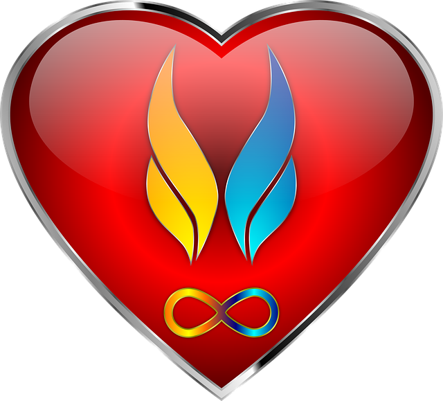 twin flames, heart, soul