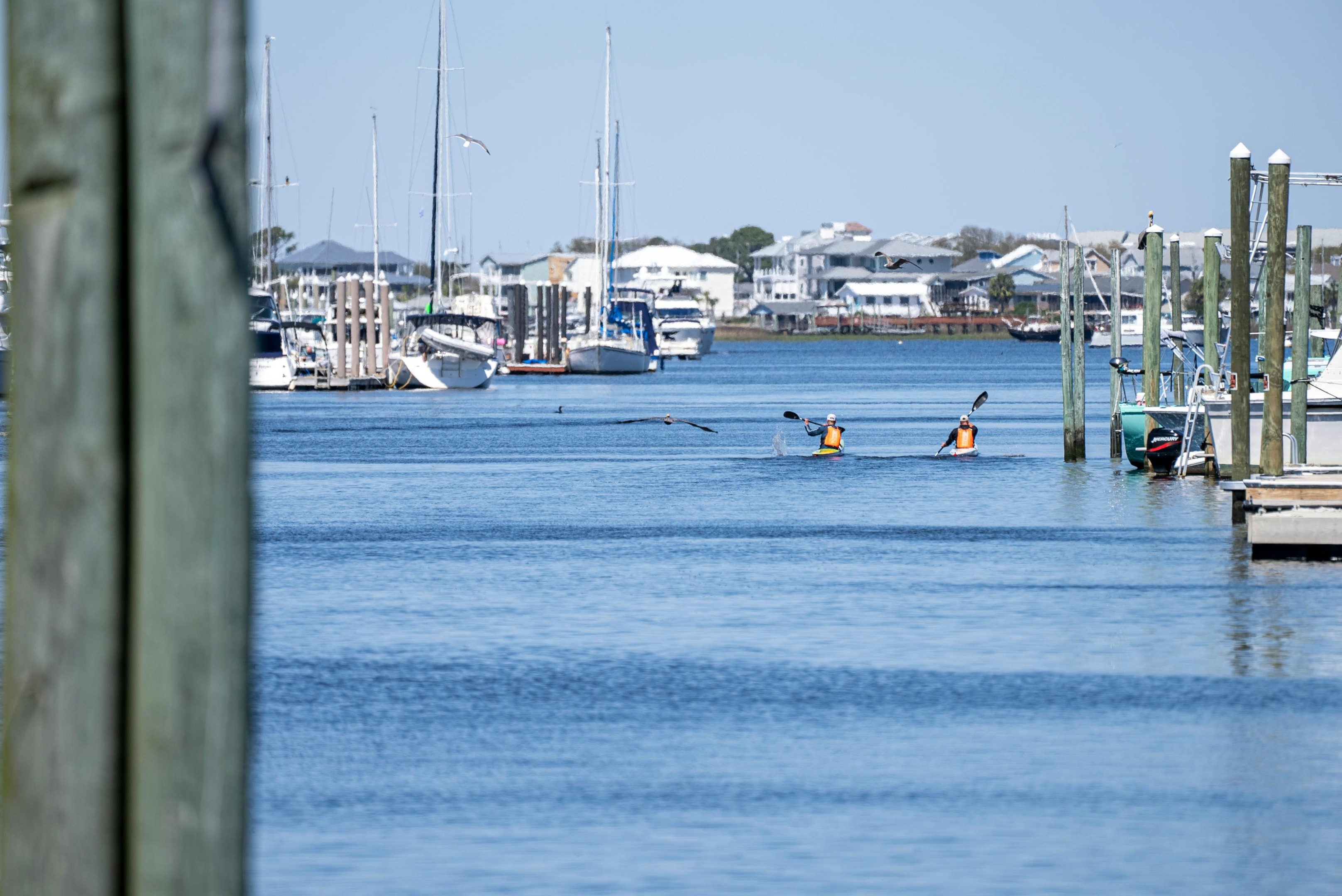 Carolina Beach, harbor, best beaches near wilmington nc, kayaking,
