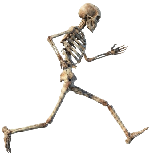 Corpse Run - valheim