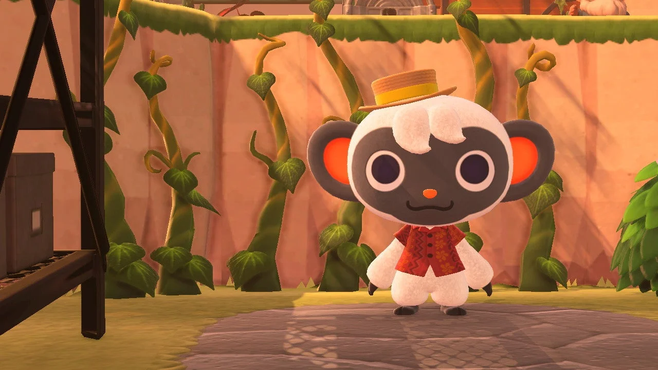 Niko the monkey