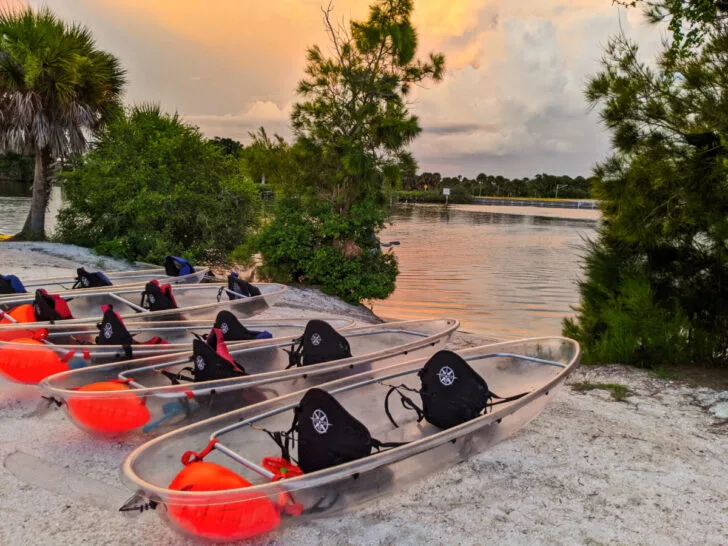 Wildlife and Nature Kayaking Tours, Essential Kayaking Tips