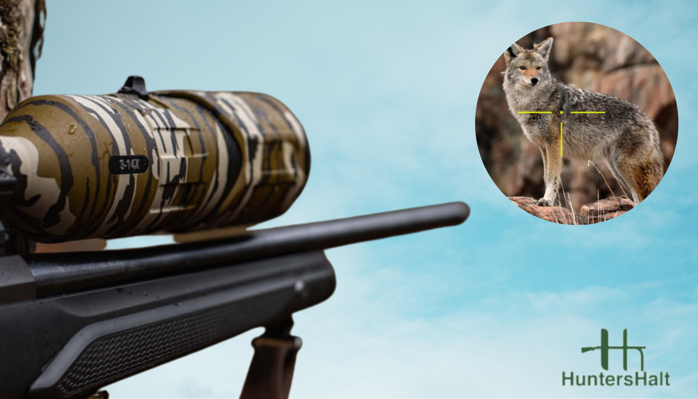 night vision scope for coyote hunting