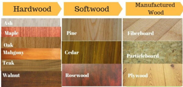 Comparison of hardwood and softwood