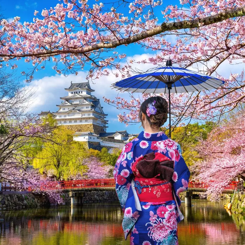 Cherry Blossom Earrings In 2023