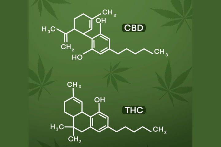 Molecular structures of the cannabinoids THC and CBD
