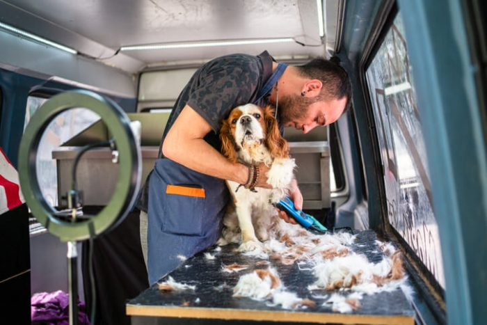 mobile pet grooming, professional dog walker, first service, grooming facility