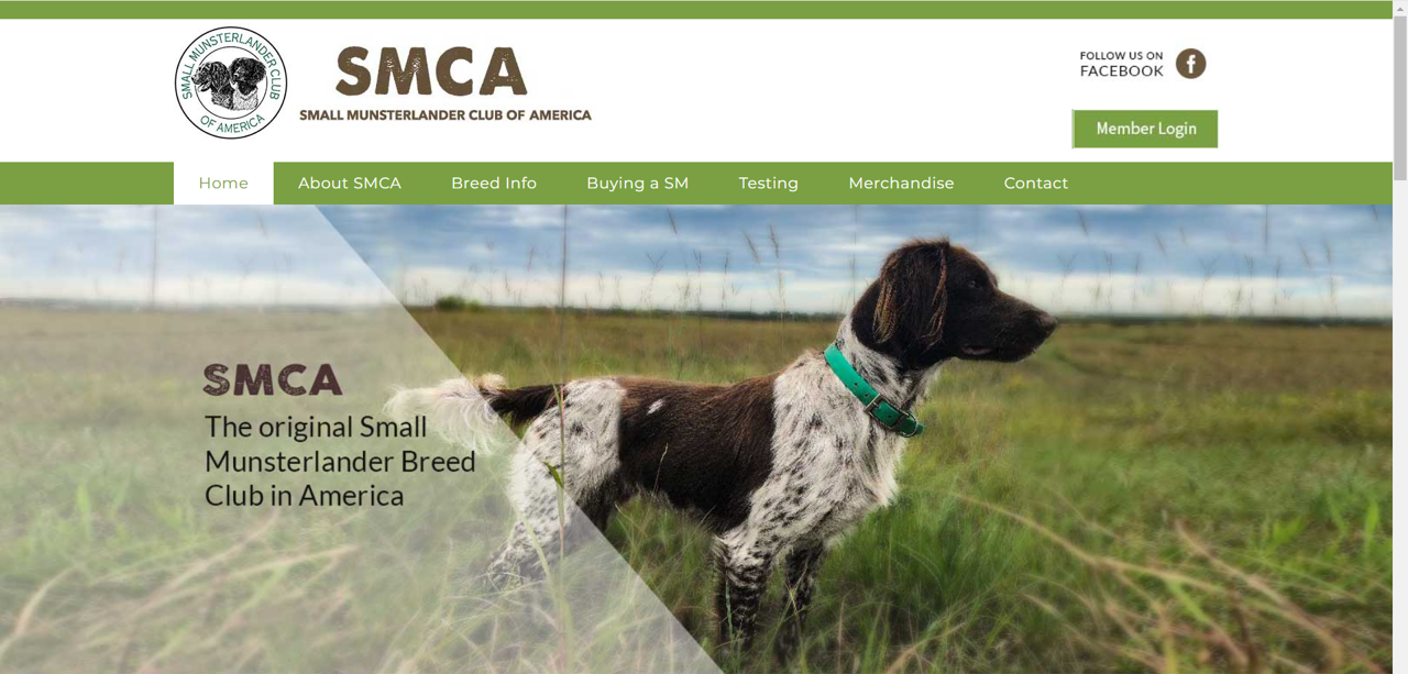 A screenshot image of the Small Munsterlander Breed of America