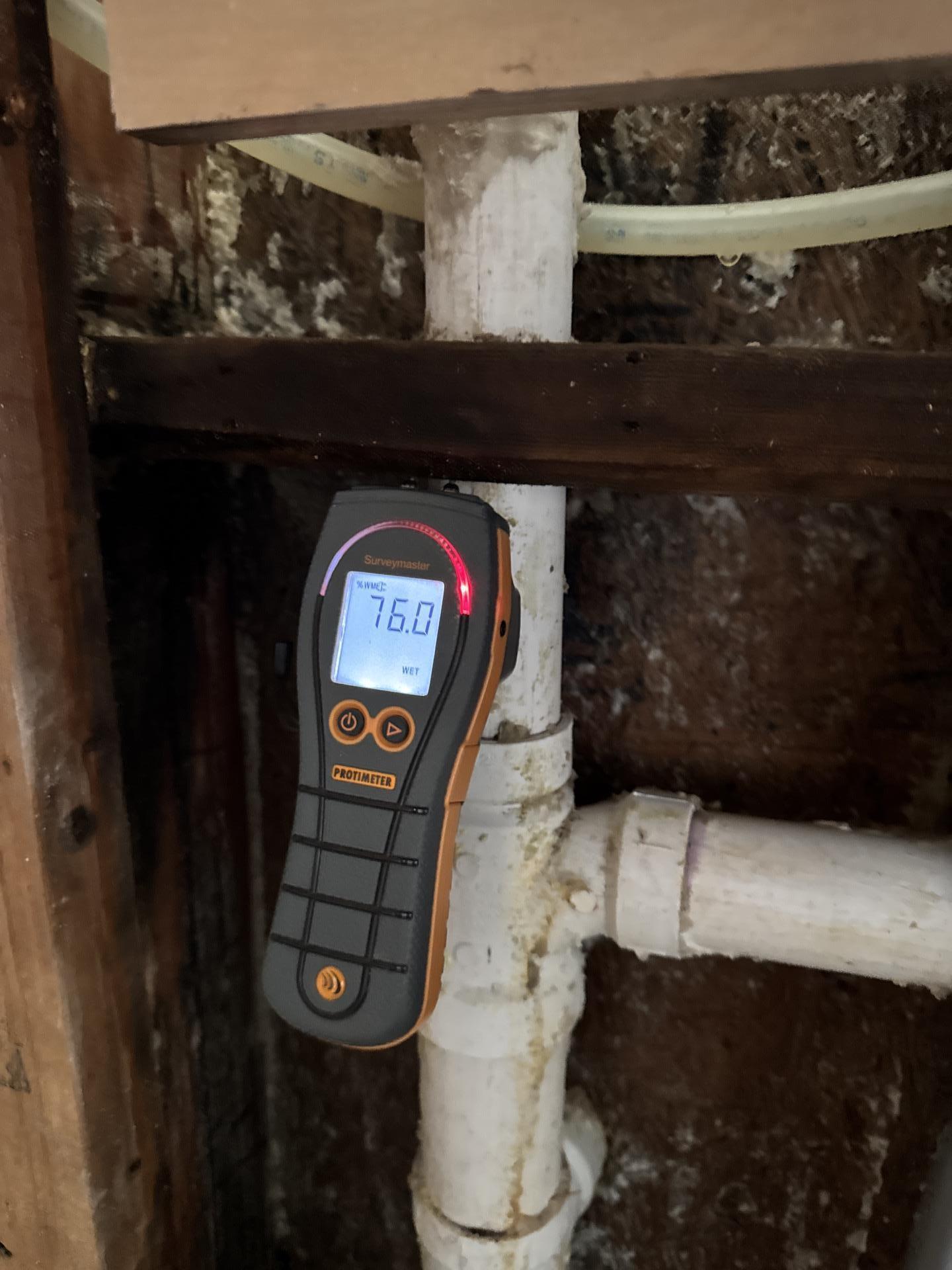 Moisture meter