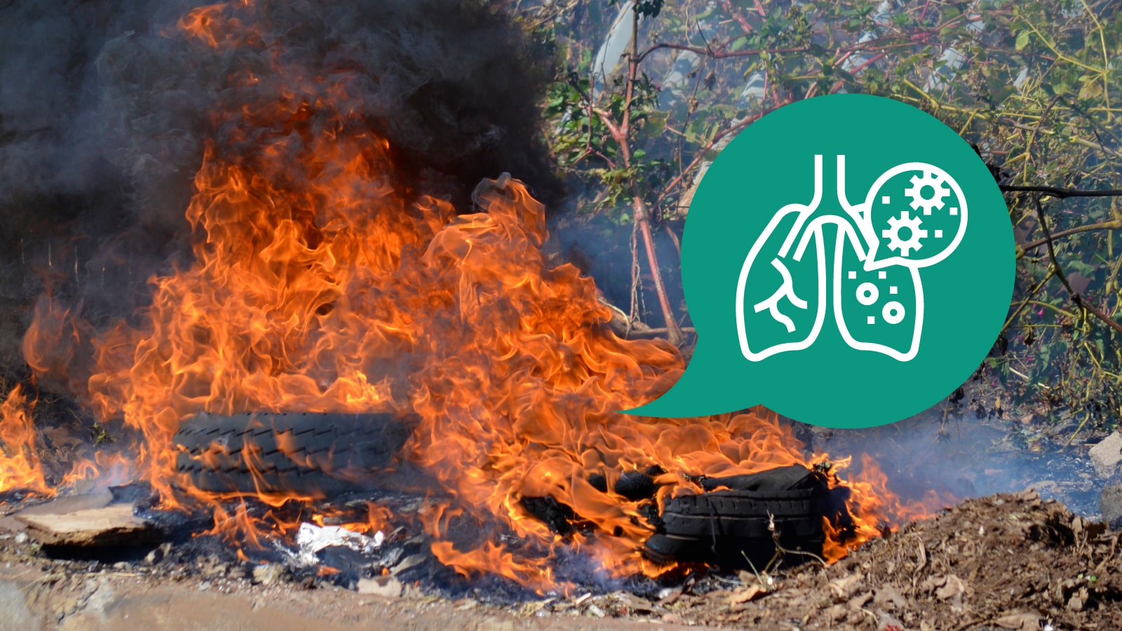 Ban bekas dan sampah lainnya terbakar dengan api besar, simbol paru-paru menyoroti risiko gangguan pernapasan.
