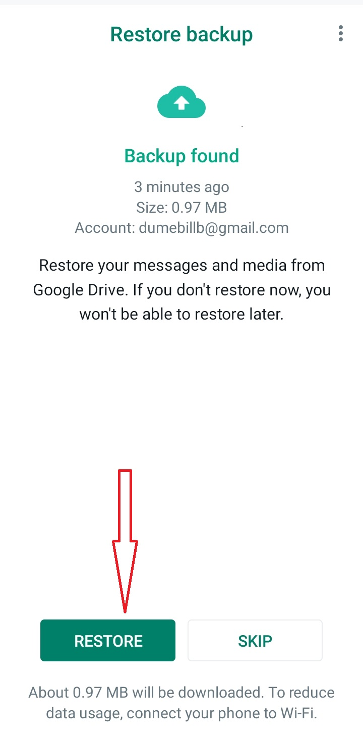 Restore chat to Recover messages when you accidentally delete them on WhatsApp