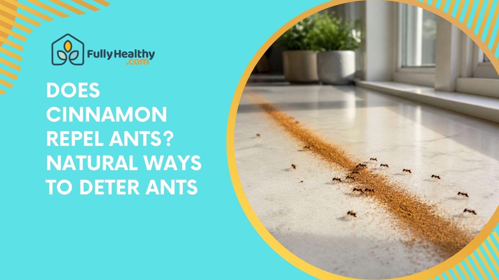 Does Cinnamon Repel Ants? Natural Ways To Deter Ants