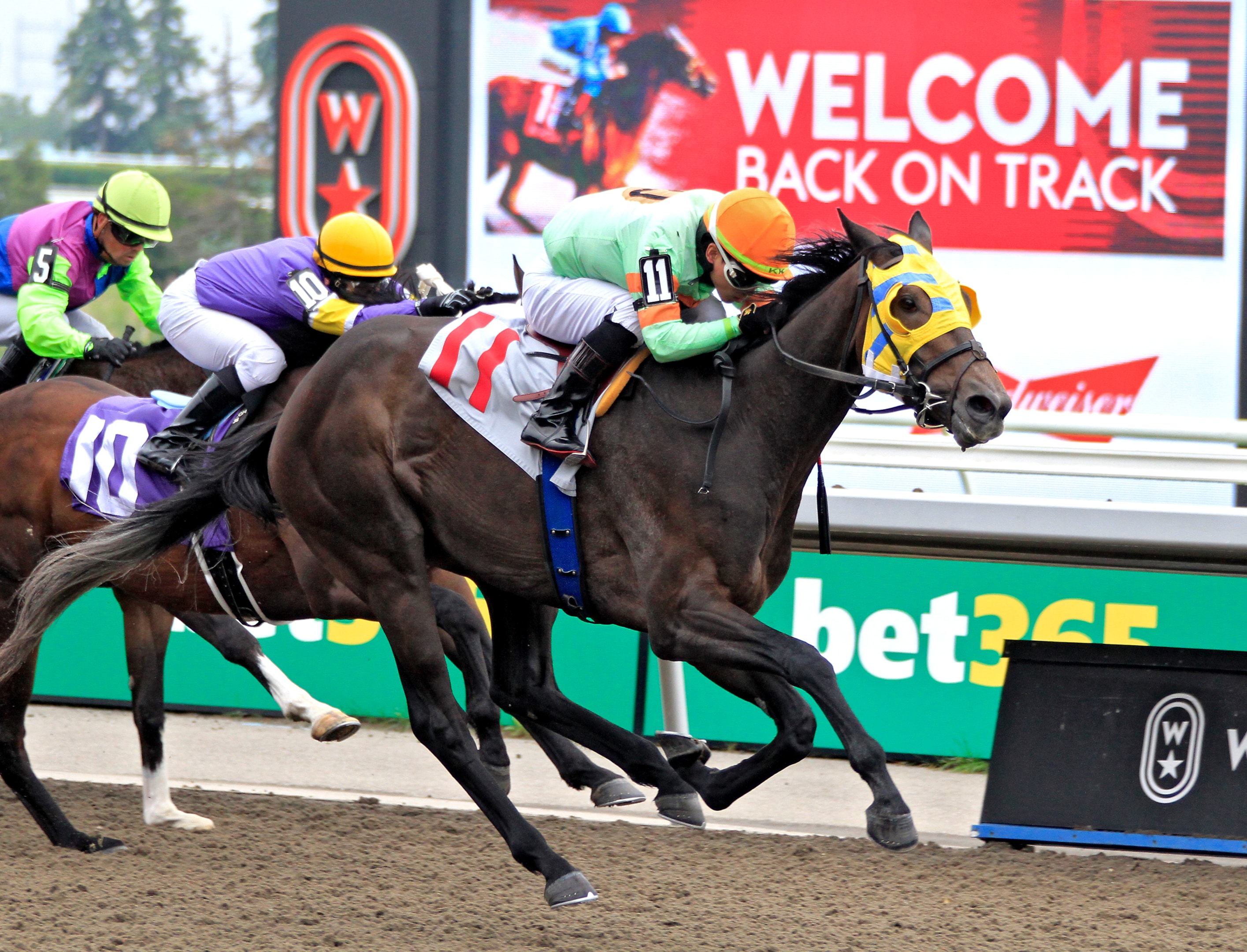 Jockey Kazushi Kimura is riding Scat Factor to a win in the fifth race at Woodbine Racetrack in Toronto, Canada, on June 2, 2024. 