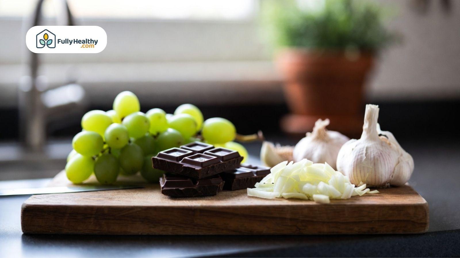 Common toxic foods for cats including grapes, chocolate, onion, and garlic on cutting board.
