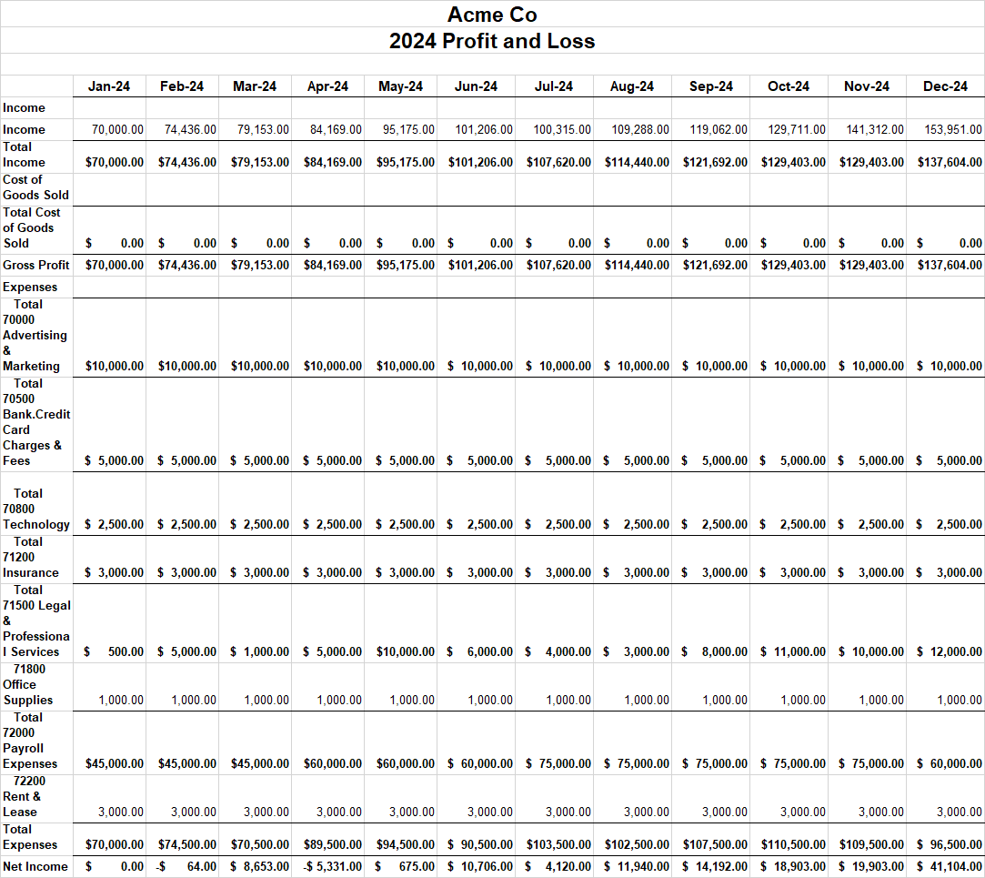 A profit and loss statement for tax year 2024.