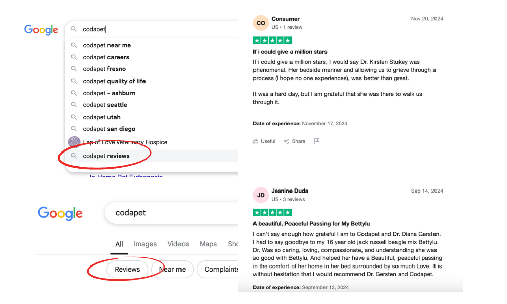 online reputation management - positive reviews