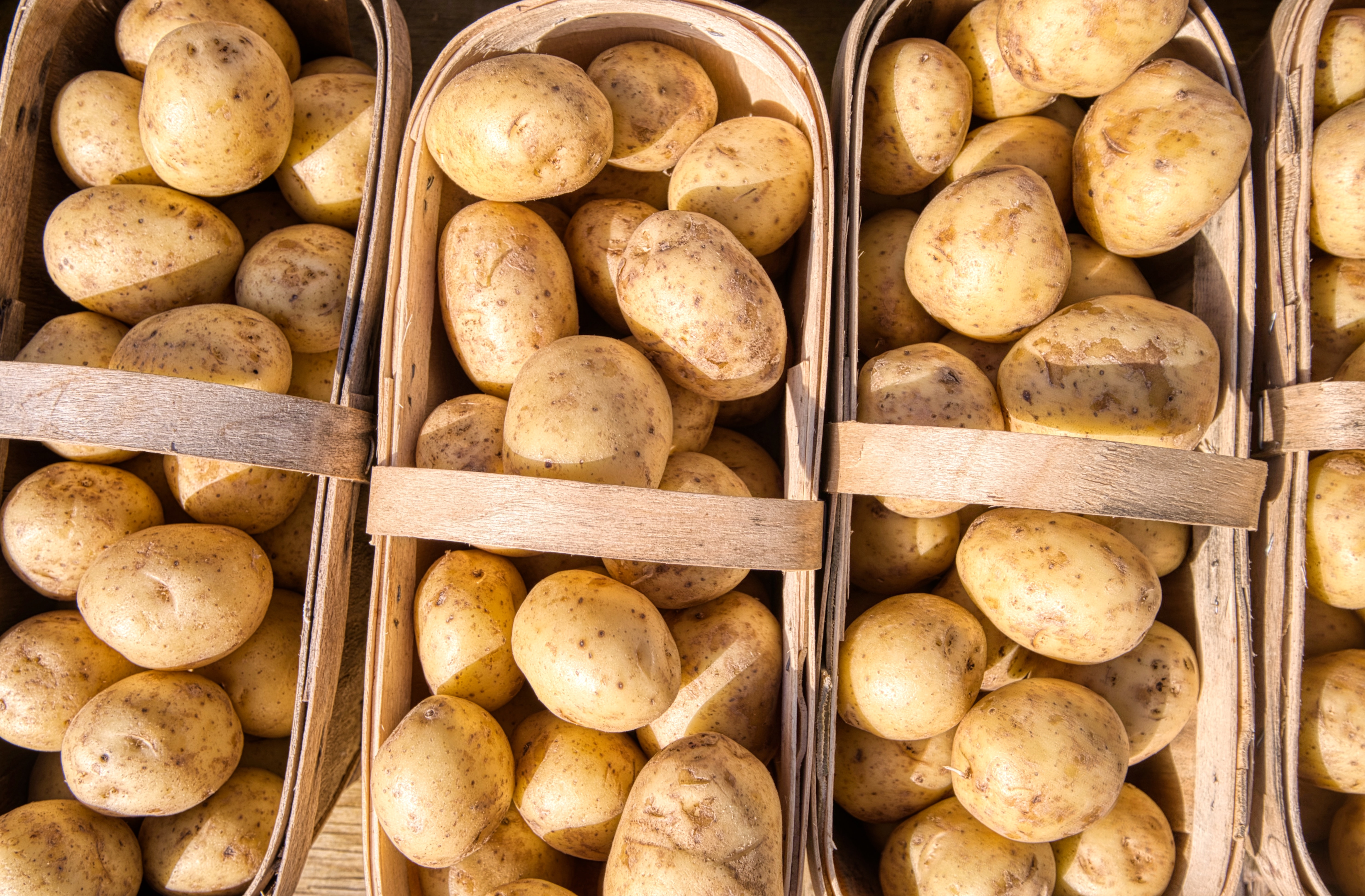 How to Tell If A Potato Is Bad: 8 Facts to Know 6
