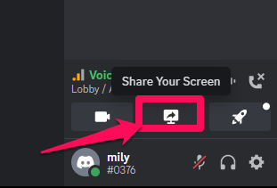Picture showing the Go Live Screen on Discord