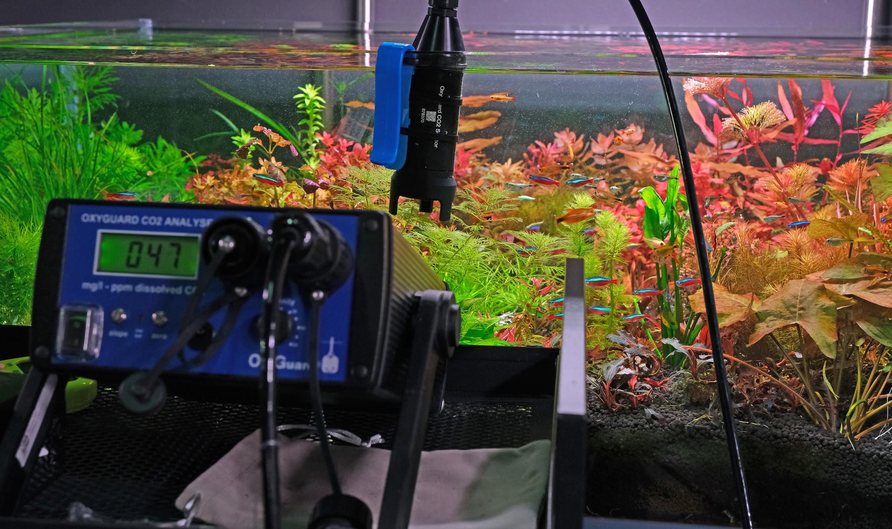 Measuring CO2 levels with an Oxyguard CO2 Analyzer