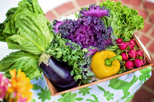 vegetables, garden, harvest