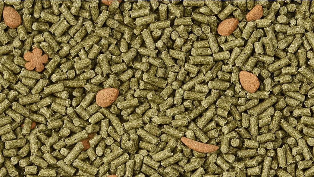 juvenile rabbit food