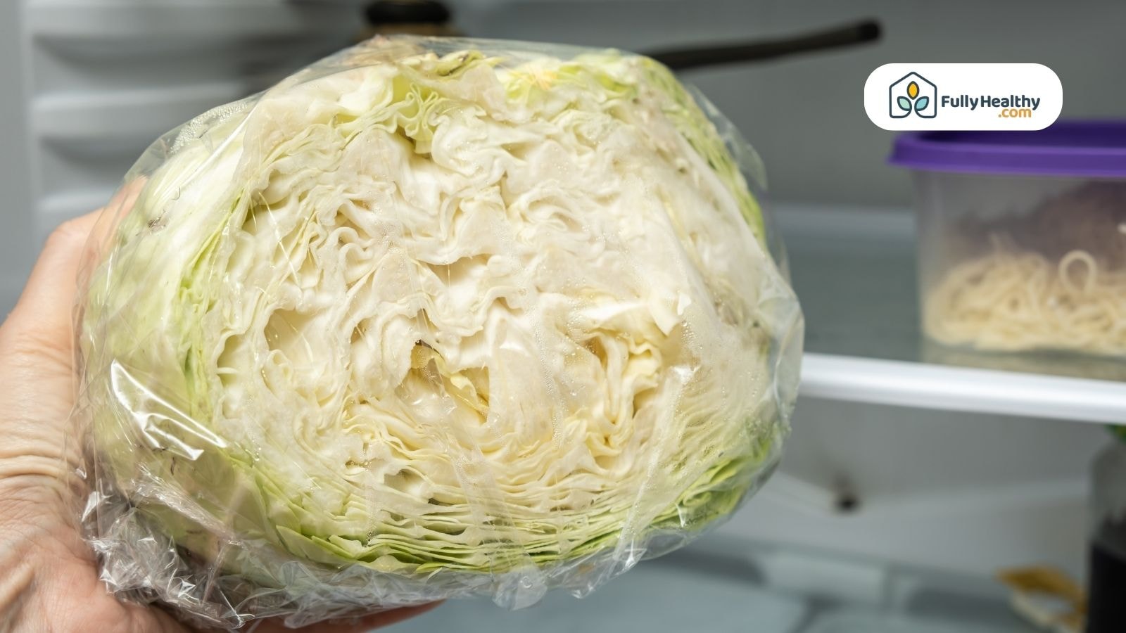 Wrapped cabbage half stored inside refrigerator for freshness