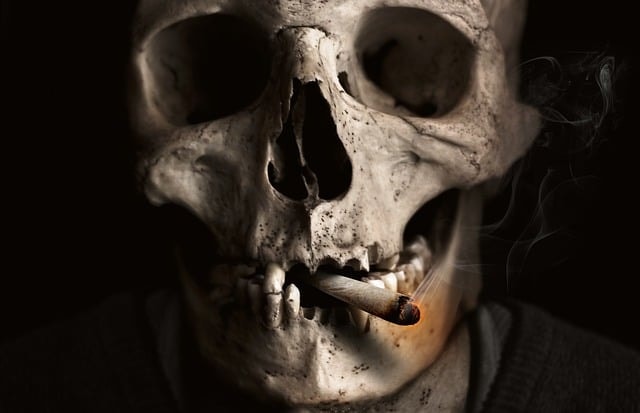 skull, bone, smoking, cigarette, smoke, unhealthy, cigar, addiction, lung cancer, tobacco, fatal, face, man, concept, idea
