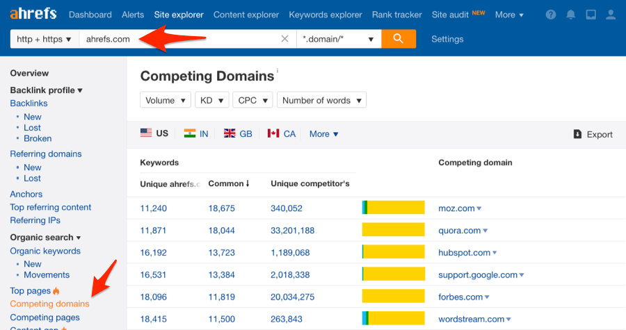Domain level competitors