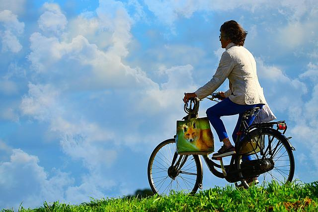rent out your bicycle