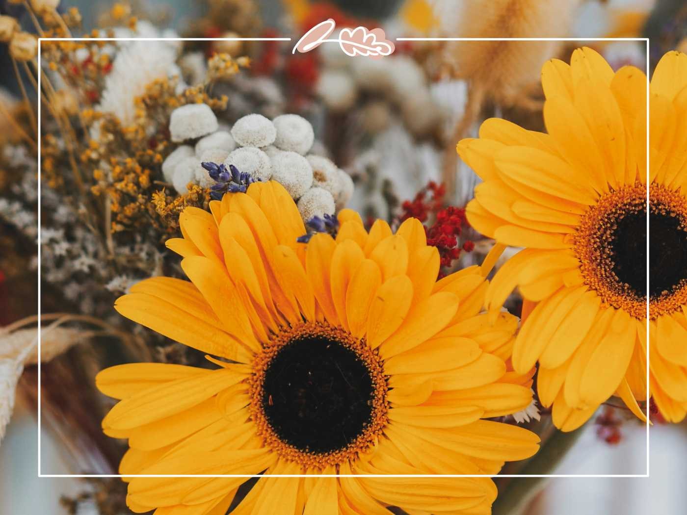 Close-up of yellow sunflowers in a bouquet by Fabulous Flowers and Gifts