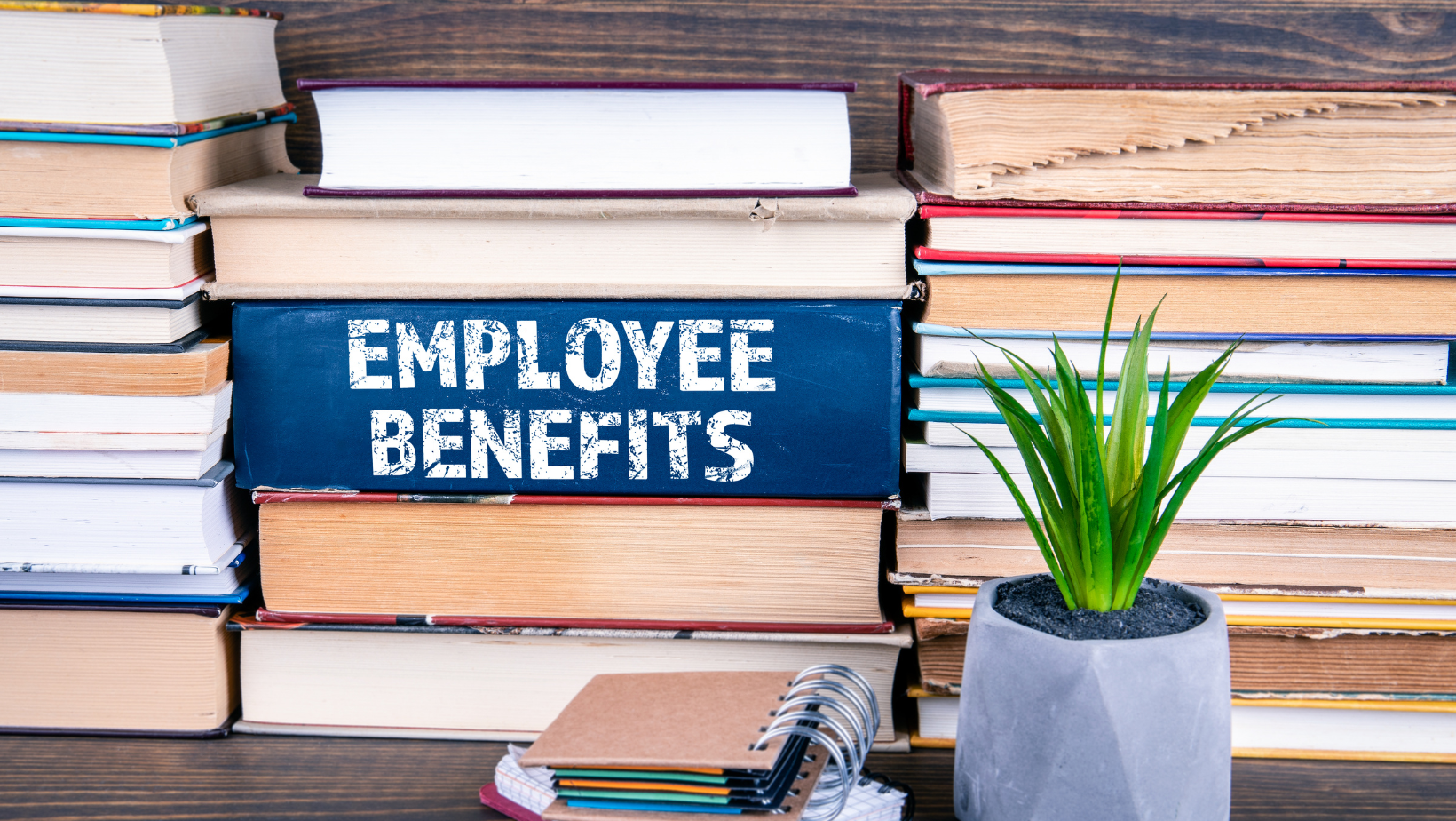 What are employee benefits?