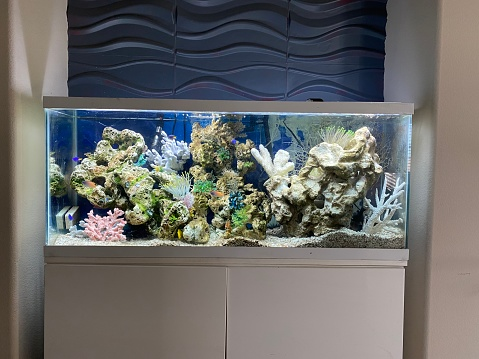 how to make a fish tank filter quieter