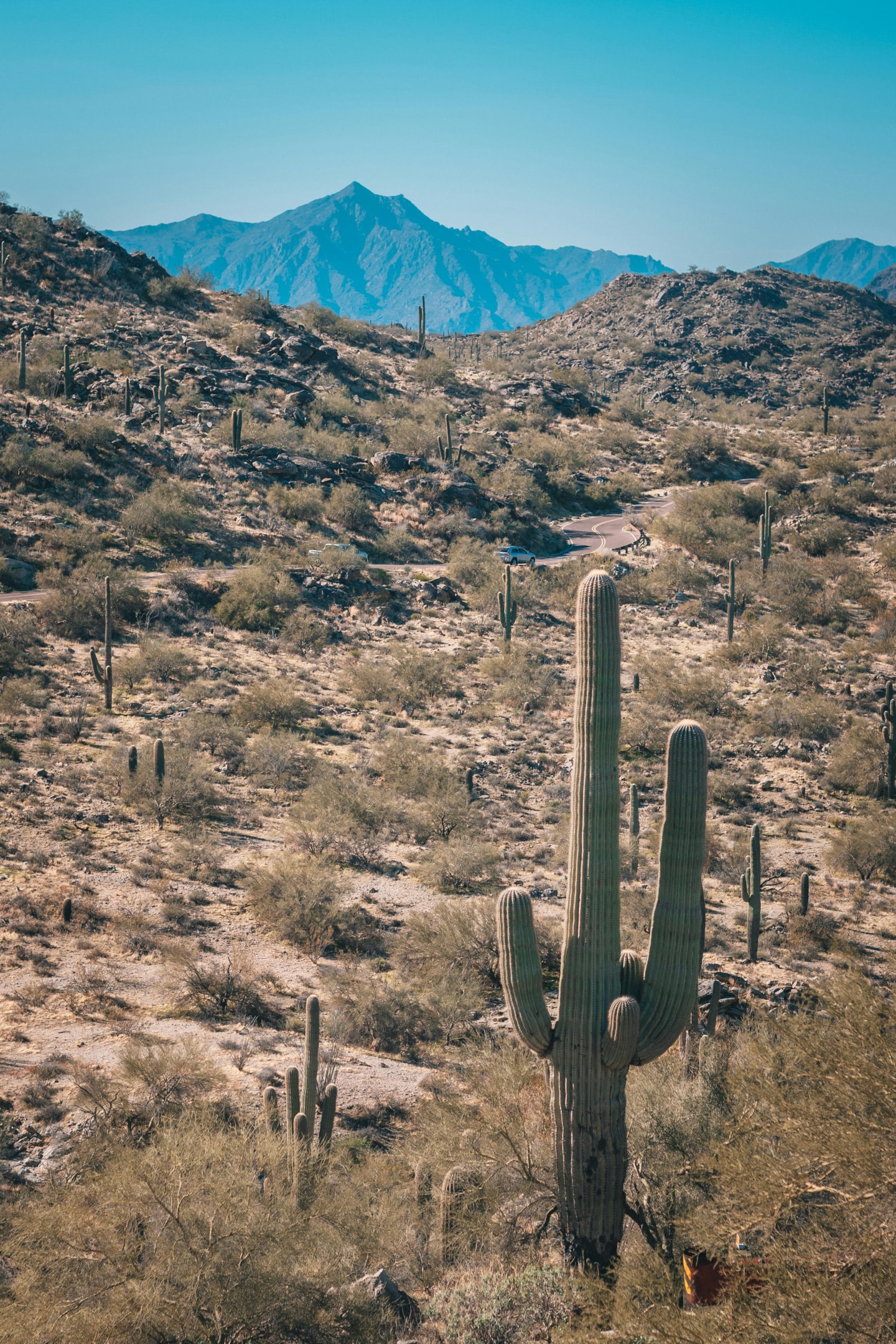 Desert image just outside of Phoenix, Arizona. 