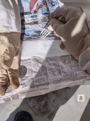 Poking holes into a newspaper using fork