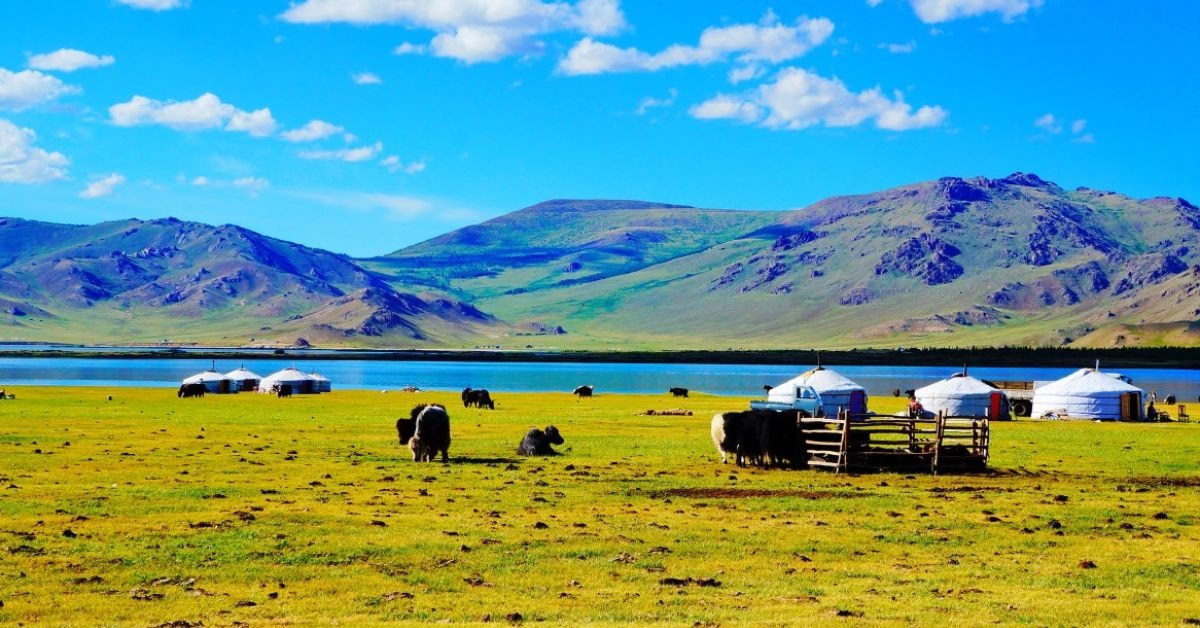 Summer in Mongolia