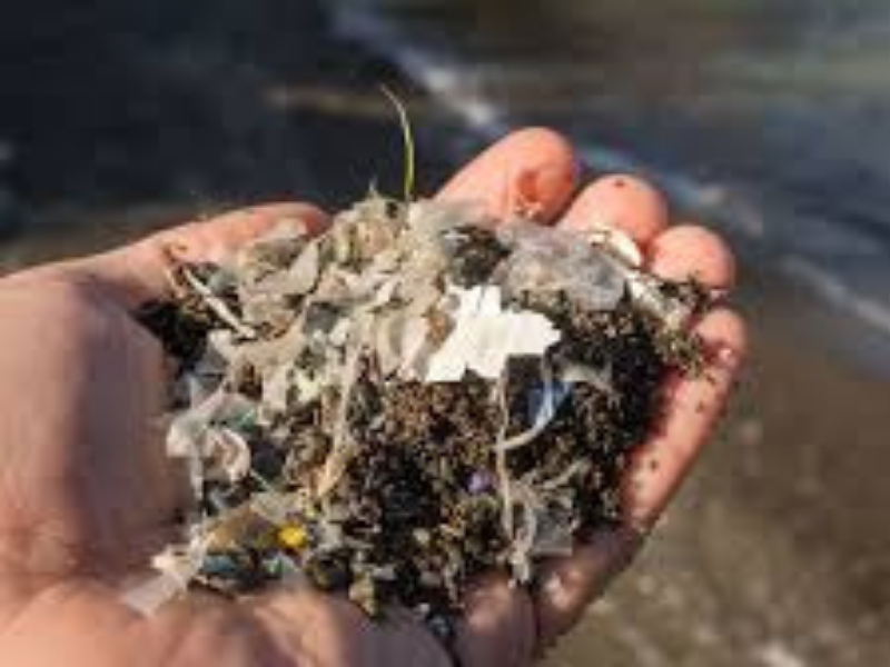 an illustration of a macroplastic