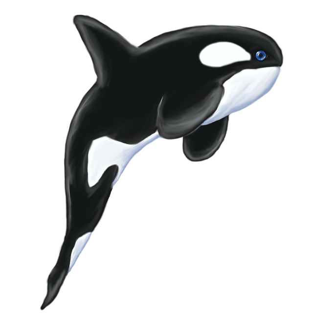 whale puns for fun