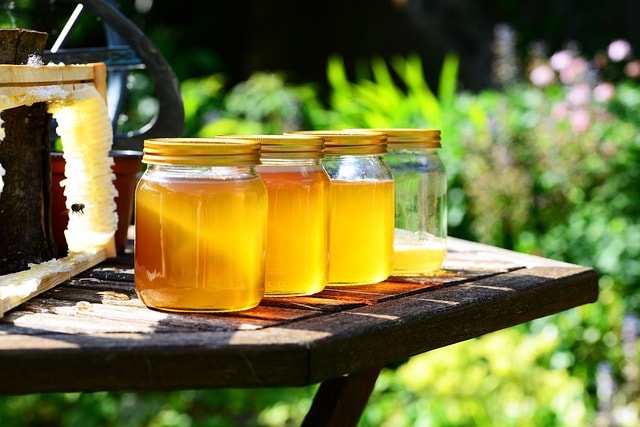 honey, jars, harvest, bees, nature, garden, honey jars, glass containers, glass jars, golden, pure, raw