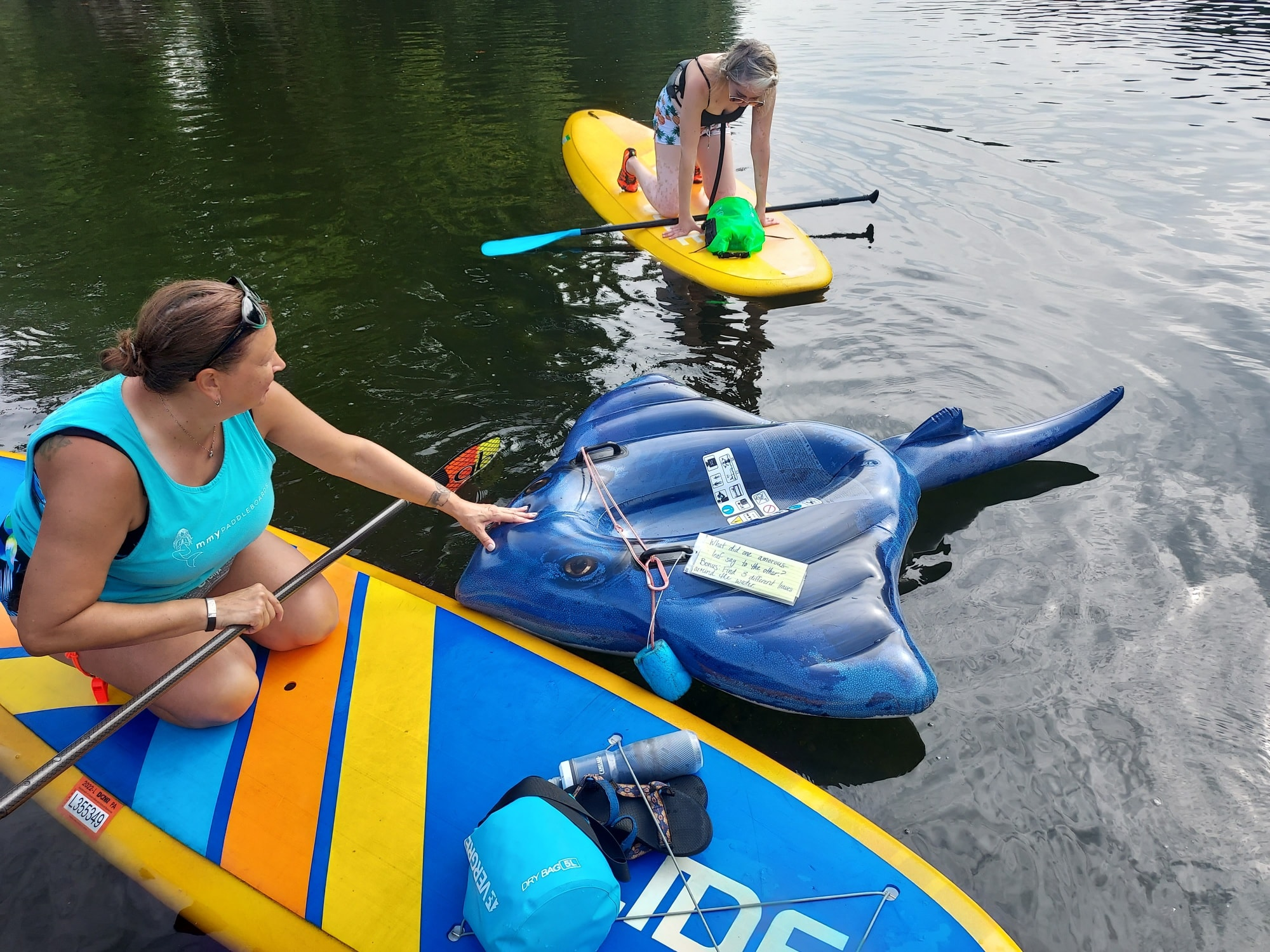 paddle boards on the open ocean