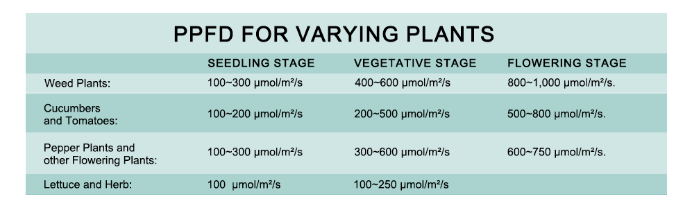 PPFD for varting plants at each growth stage