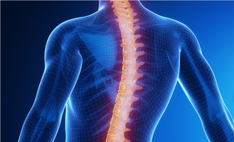 How To Maintain The Benefits Of A Chiropractic Adjustment - Quantum ...