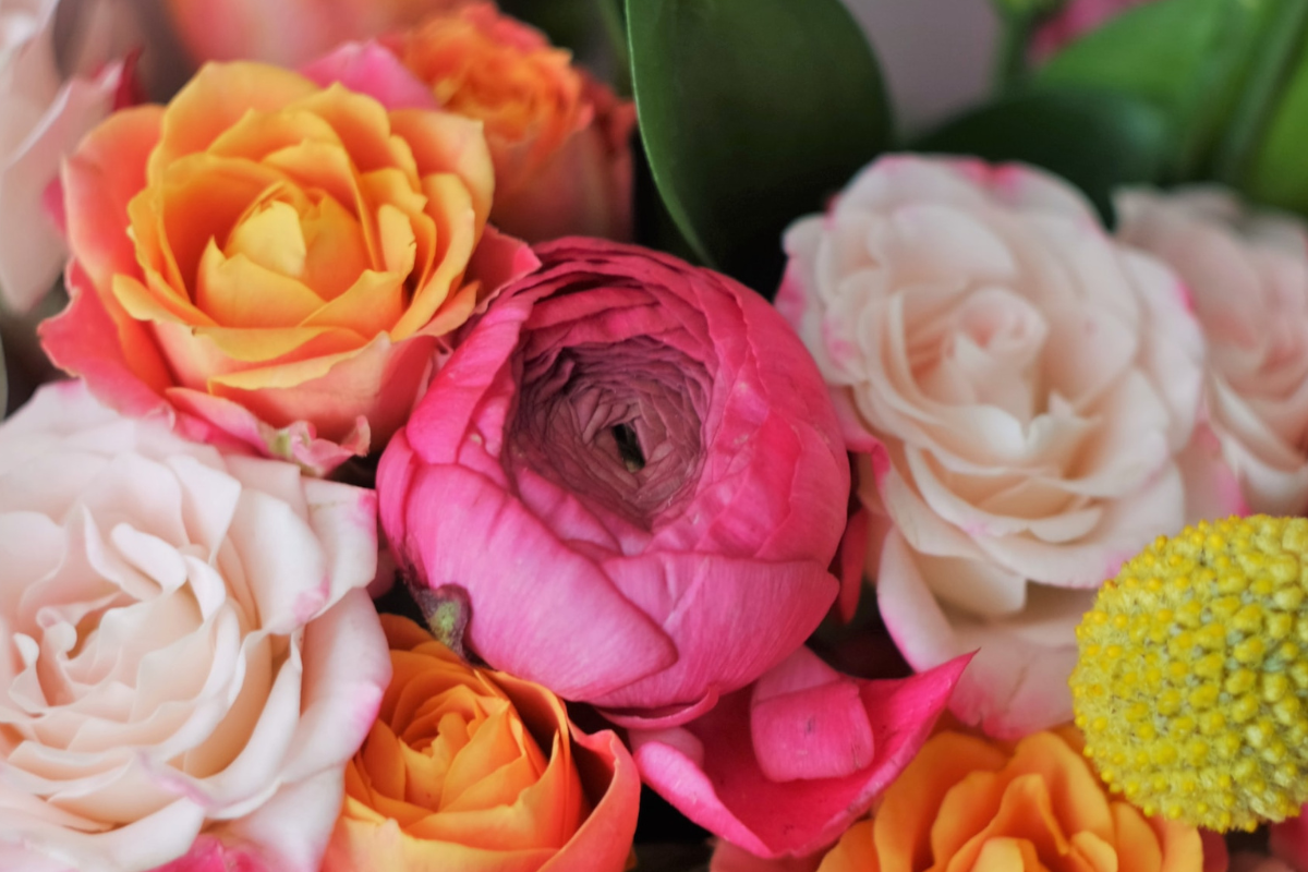 Same day fresh flower delivery and gift delivery on delivery date with colourful Fabulous Flowers like roses and ranunculus