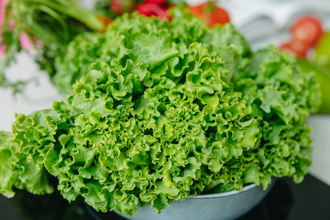 10 Best Foods For a Healthy Lifestyle