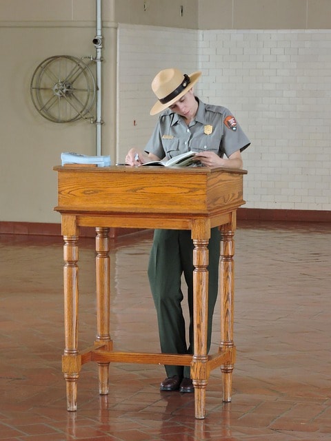 Steps to safely use a dummy ticket for travel proof