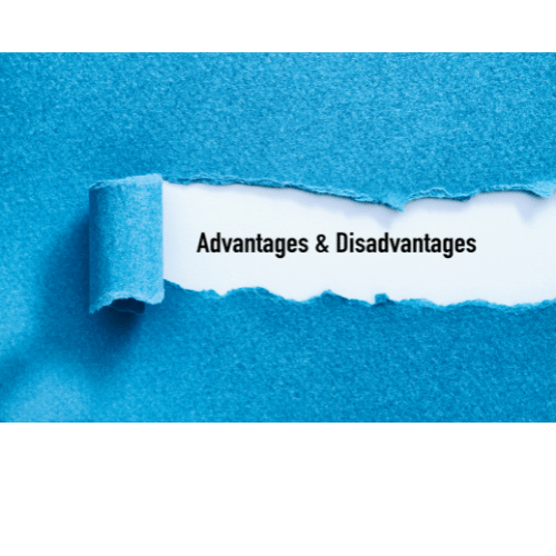 SEO Advantages and Disadvantages