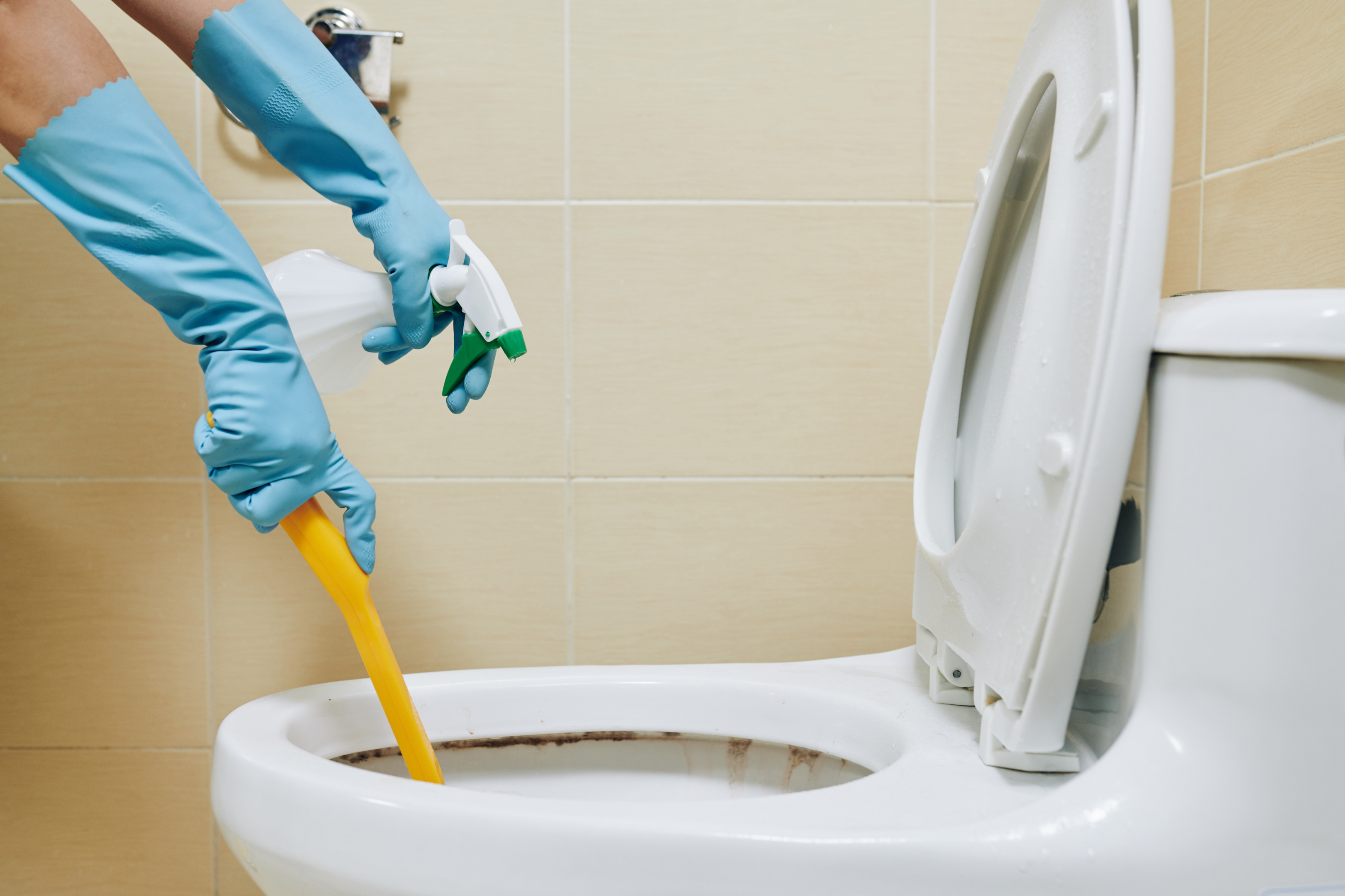 Toilet Bowl Cleaning Hacks: How to Keep Your Toilet Much Cleaner with RainX