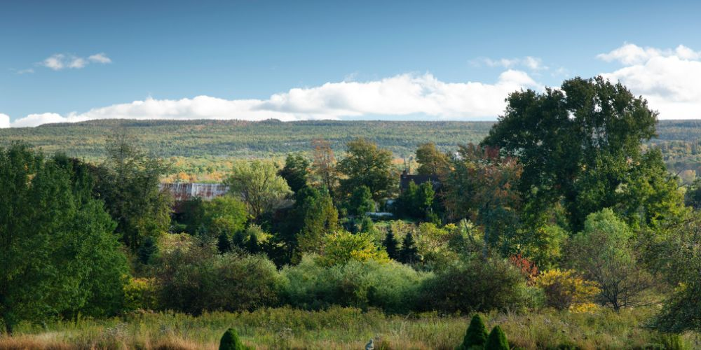 The Best Adirondack Vacation Rentals for Large Families and Groups of 10 or More! 4 Upstate New York