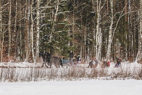 Sleigh rides through the snow, one of the more memorable outdoor activities
