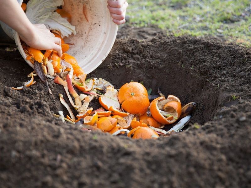 Add Compost to Soil to Enrich Your Soil 