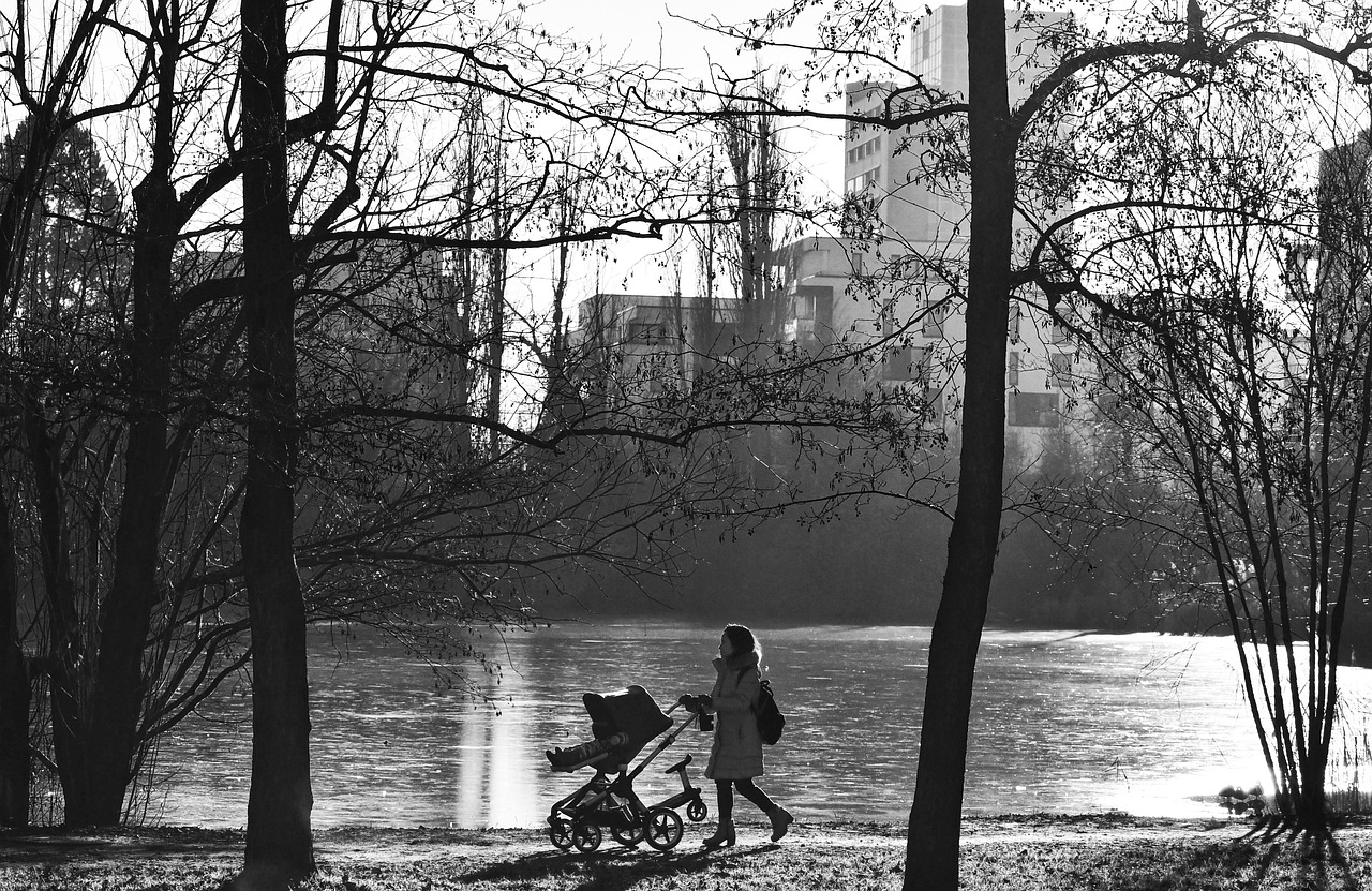 hauck kinderwagen travel n care schwarz buggy grau set beige rosa grey rapid plus buggys swift grün